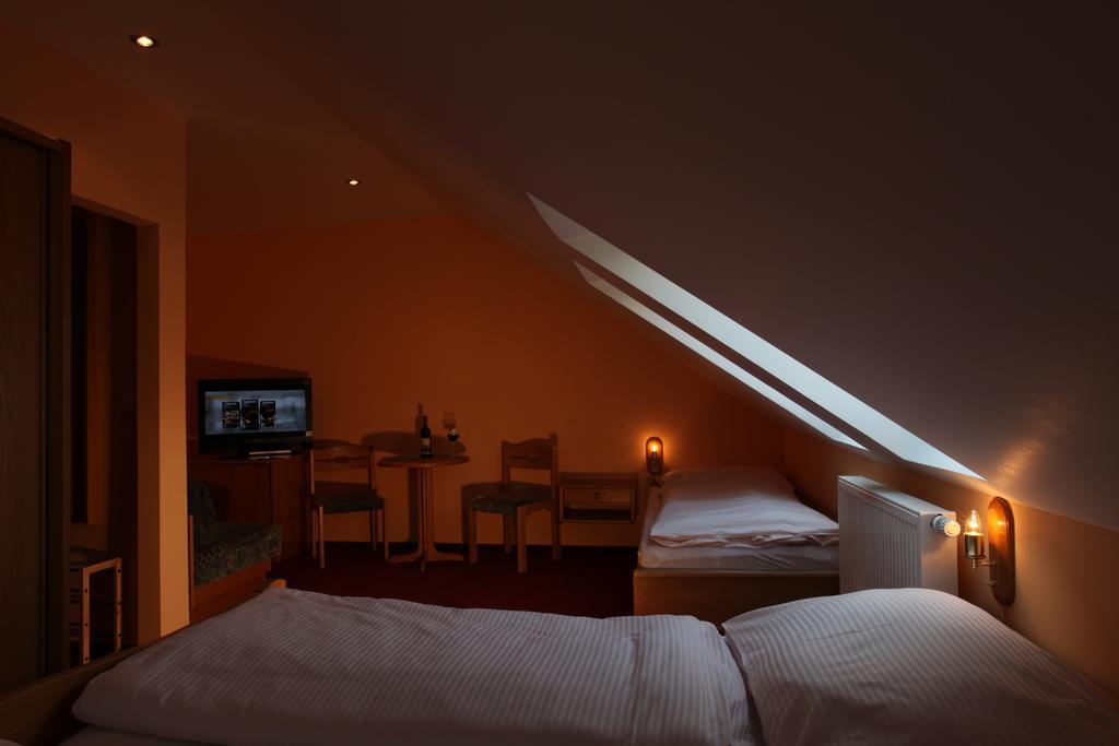 Wellness Hotel Marlin Nová Pec 객실 사진