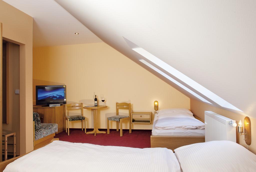 Wellness Hotel Marlin Nová Pec 객실 사진